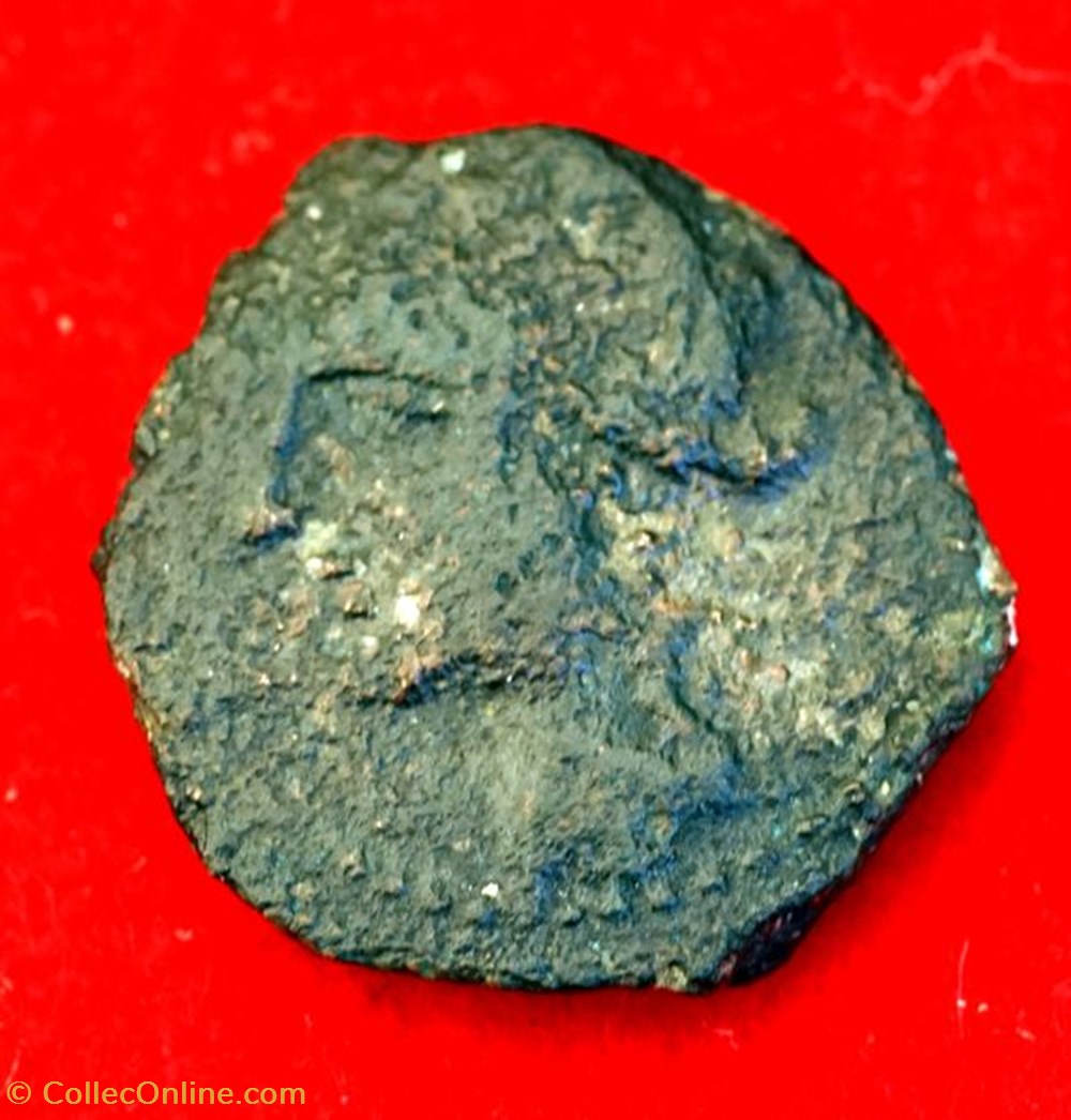 bronze au taureau tete a gauche avers monnaies antiques celtes bronze au taureau tete a gauche avers