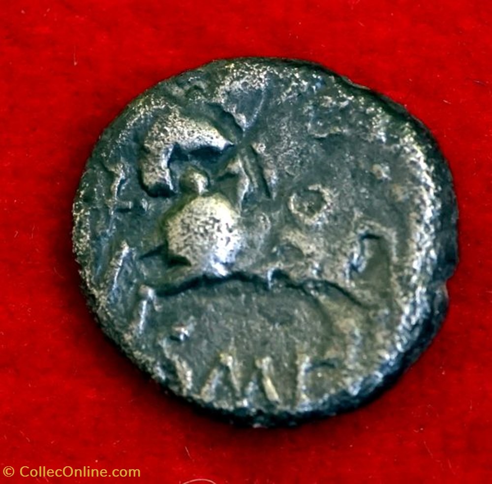 monnaies antiques a celtes q doci revers