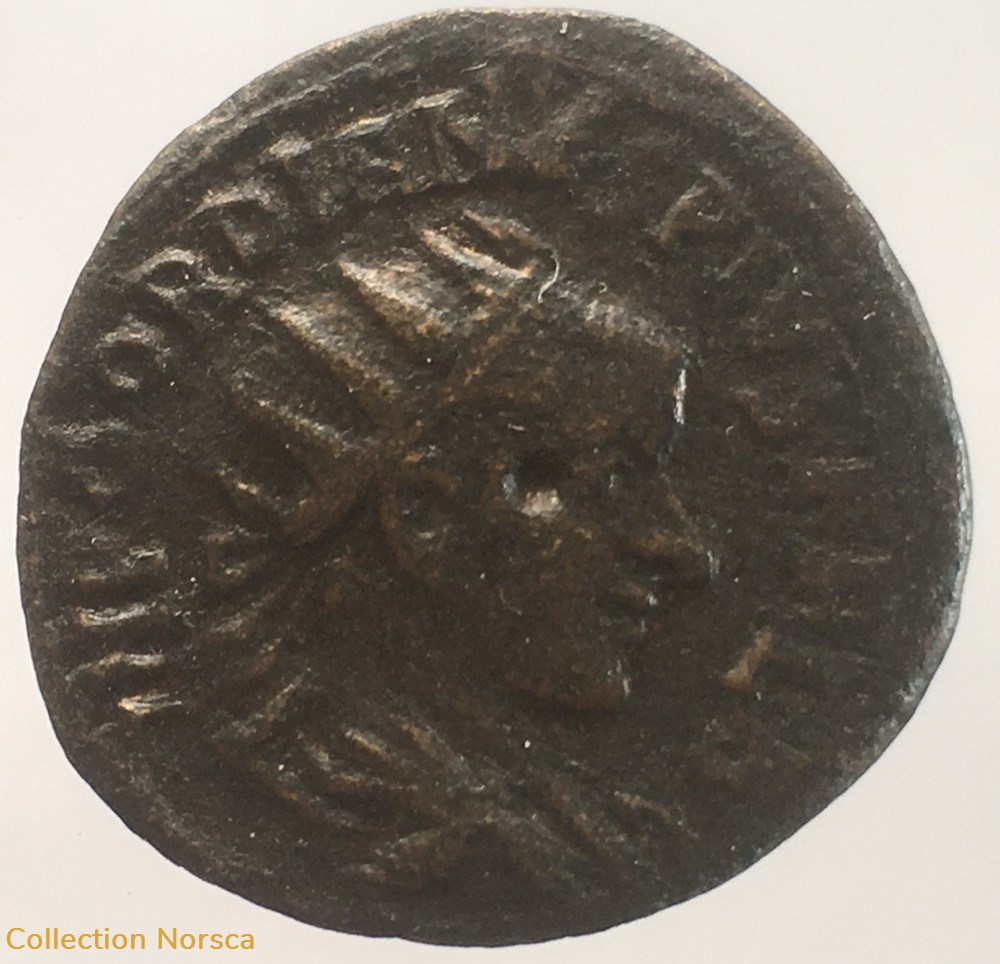 Provinciale - bronze de Gordien III - COL FL PAC DEVLT monnaie antique av jc ap romaine provinciale bronze de gordien iii col fl pac devlt