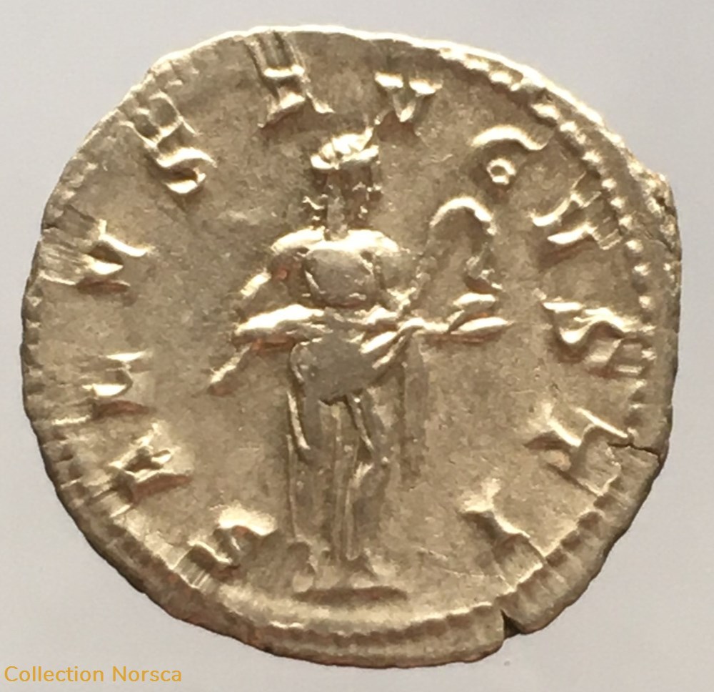Briac 272 - denier de GORDIEN III - SALVS AVGVSTI monnaies antiquite jc ap romaines republicaines imperiales briac 272 denier de gordien iii salvs avgvsti
