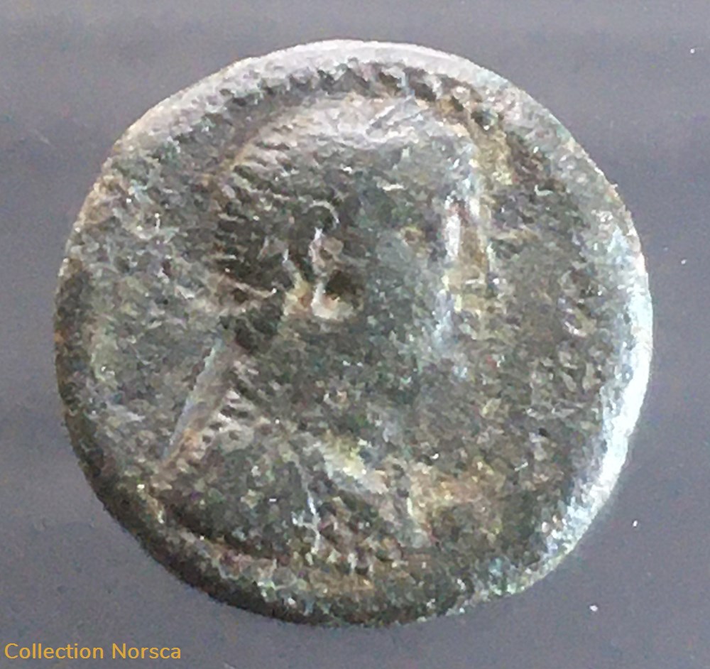monnaies antiques a romaines provinciales hemiobol ptolemy iii euergetes