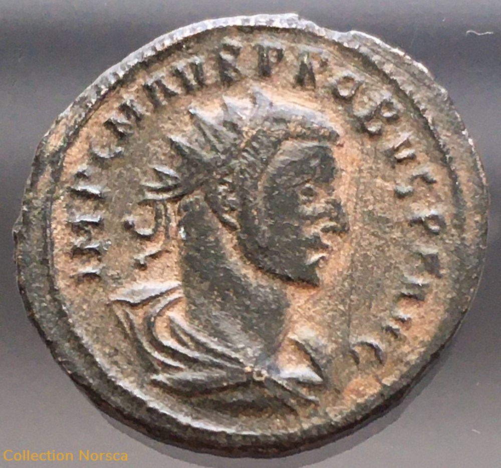 Aureliani de Probus - CLEMENTIA TEMP• /*//XXI monnaies antiquite av jc ap romaines republicaines imperiales aureliani de probus clementia temp xxi