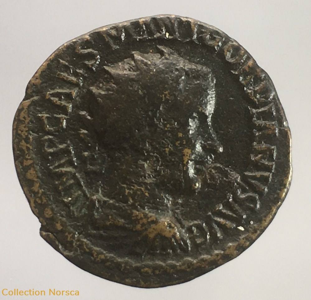 Provinciale - Bronze de Gordien III - PMS COL VIM//AN.I monnaie antique av jc ap romaine provinciale bronze de gordien iii pms col vim an i
