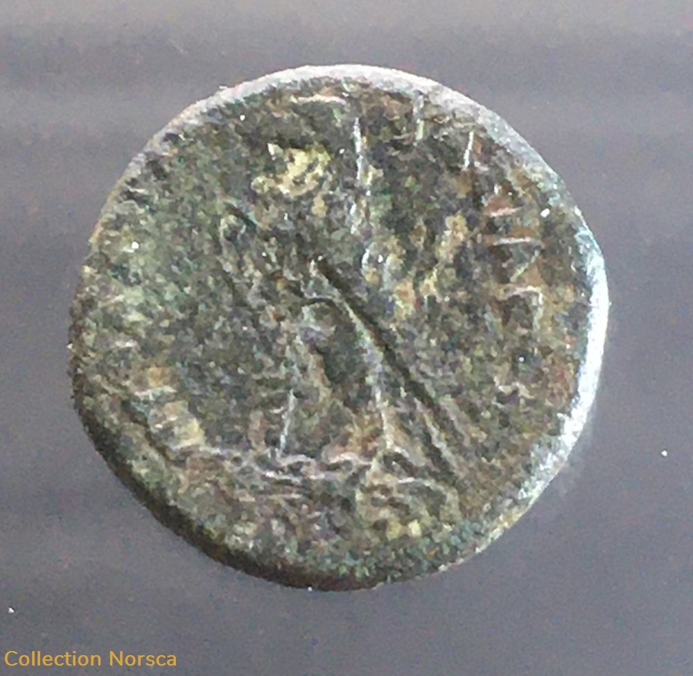 monnaies antiques a romaines provinciales hemiobol ptolemy iii euergetes