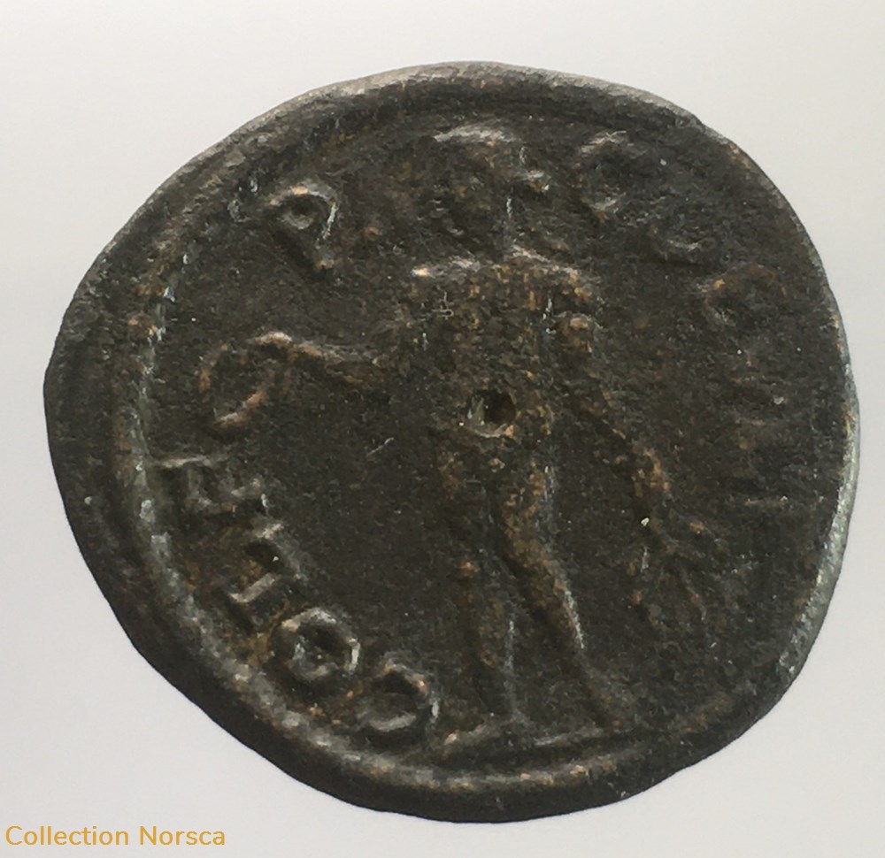 Provinciale - bronze de Gordien III - COL FL PAC DEVLT monnaie antique av jc ap romaine provinciale bronze de gordien iii col fl pac devlt