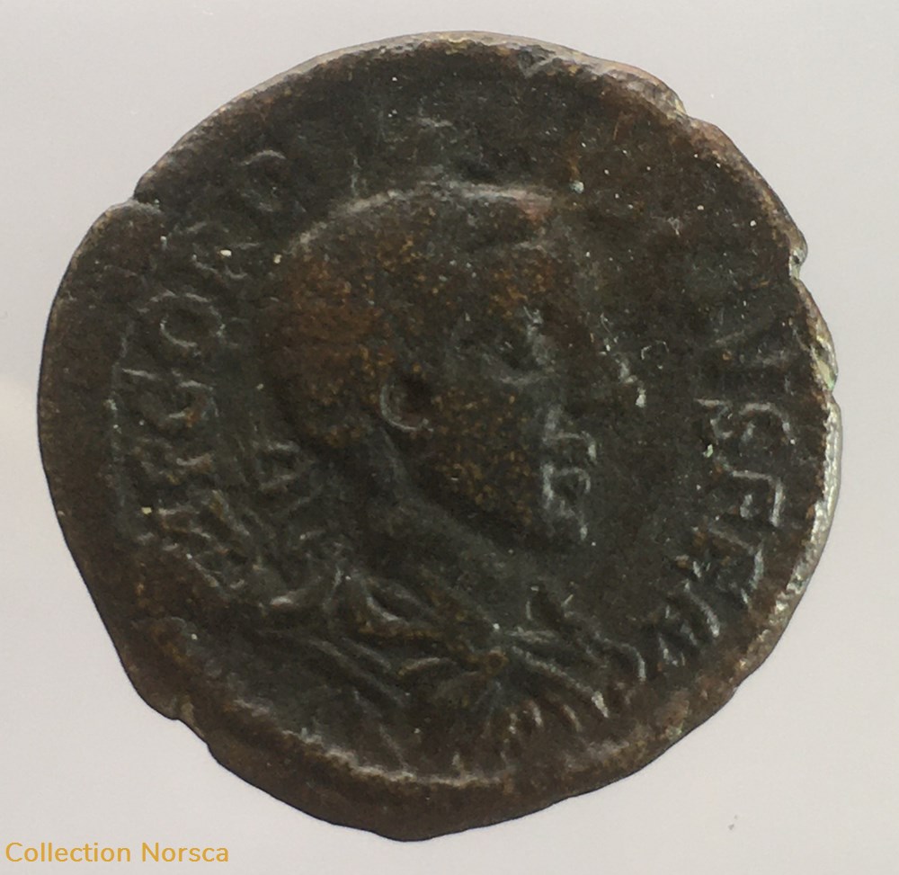 Provinciale - Bronze de Gordien III - COL FL PAC DEVLT monnaie antique av jc ap romaine provinciale bronze de gordien iii col fl pac devlt