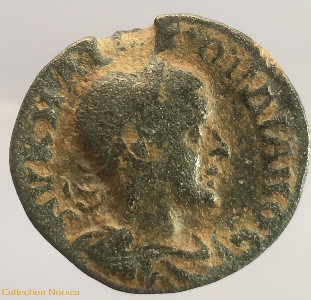 Provinciale - Æ de Gordien III - ΜΗΤΡ(Ο) ΚΑΙϹ ƐΝΤΙΧ Β Ν ƐΤ Δ monnaie antique av jc ap romaine provinciale de gordien iii