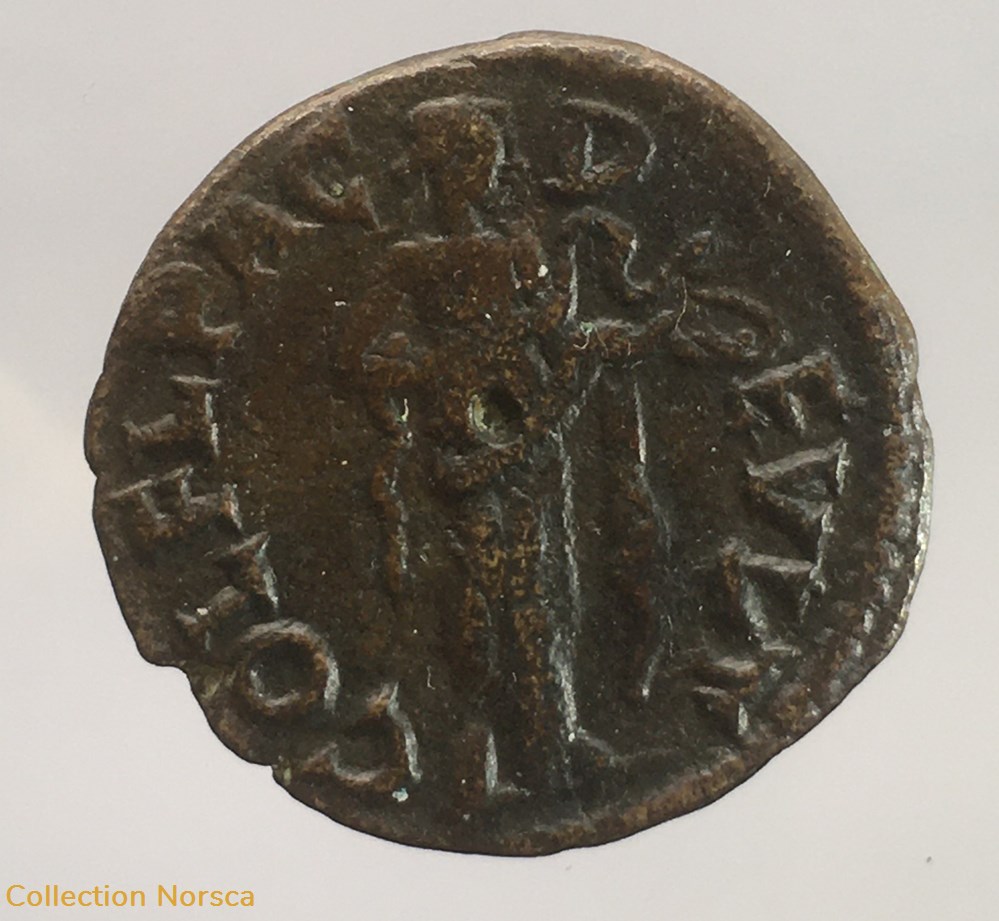 Provinciale - Bronze de Gordien III - COL FL PAC DEVLT monnaie antique av jc ap romaine provinciale bronze de gordien iii col fl pac devlt