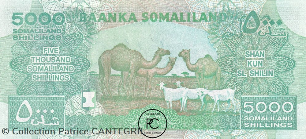 2011 Pick21a 5 000 Sh - Shilling somalilandais Unc billets afrique 2011 pick21a 5 000 sh shilling somalilandais unc