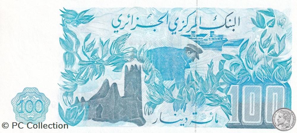 1981 Pick131a.4 100 د.ج - Dinar algérien Unc (15) billets afrique 1981 pick131a 4 100 dinar algerien unc 15