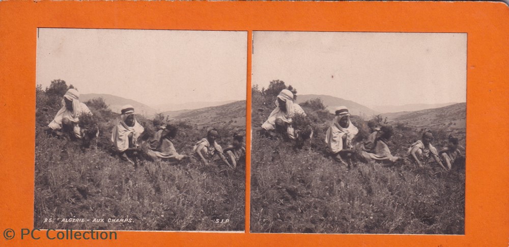 25 -Algérie Aux Champs documents anciens chromos images 25 algerie aux champs