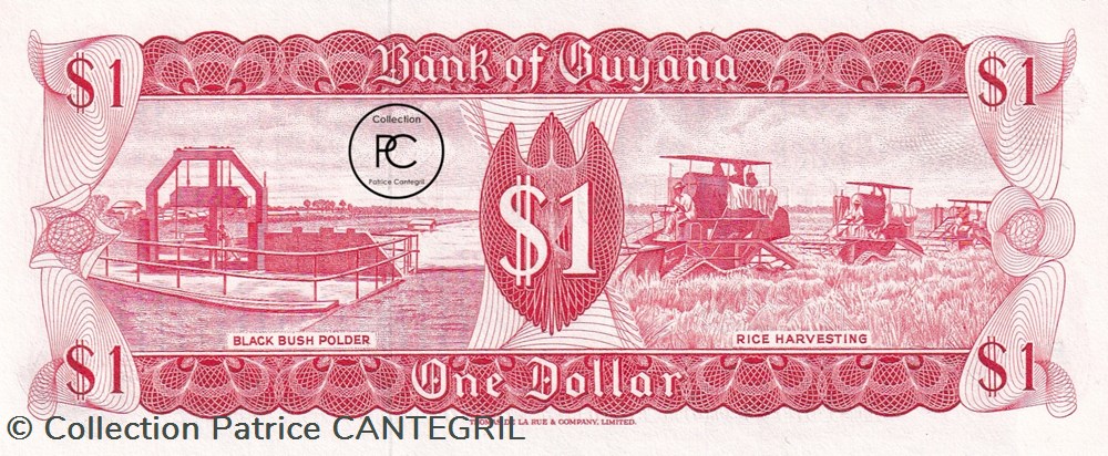 1989 Pick21f 1 $ - Dollar guyanaise Unc billets amerique du sud 1989 pick21f 1 dollar guyanaise unc