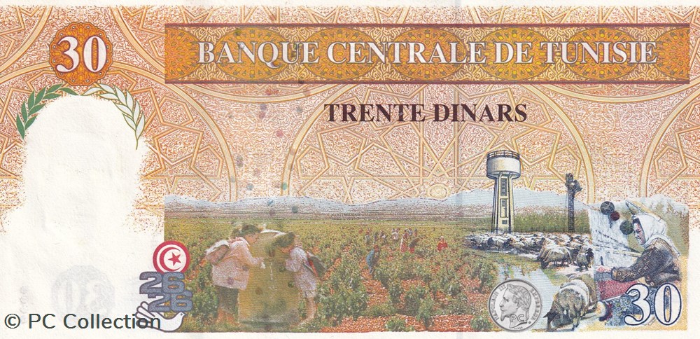 1997 Pick89 30 د.ت - Dinar tunisien Unc (1) billets afrique 1997 pick89 30 dinar tunisien unc 1