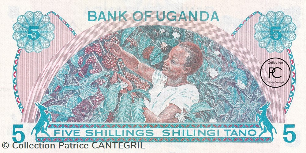 1977 Pick5Аa 5 Sh - Shilling ougandais Unc billets afrique 1977 pick5 a 5 sh shilling ougandais unc