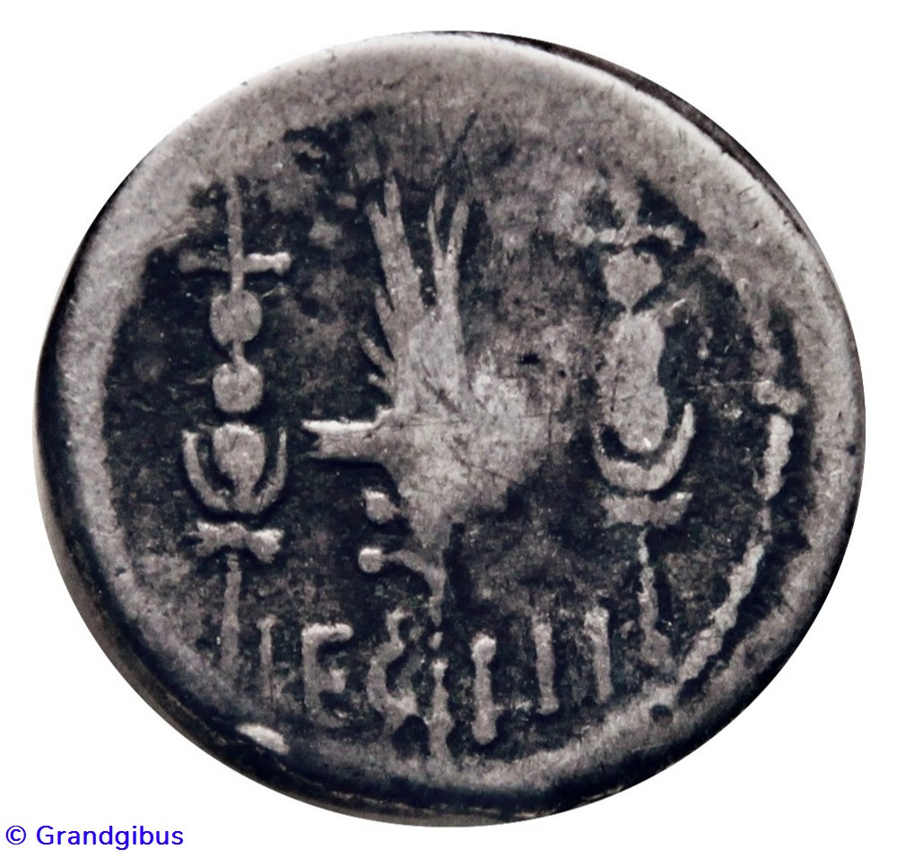 Marc Antoine (32 av. JC) - Denier monnaies antiques romaines imperiales et republicaines marc antoine 32 av jc denier