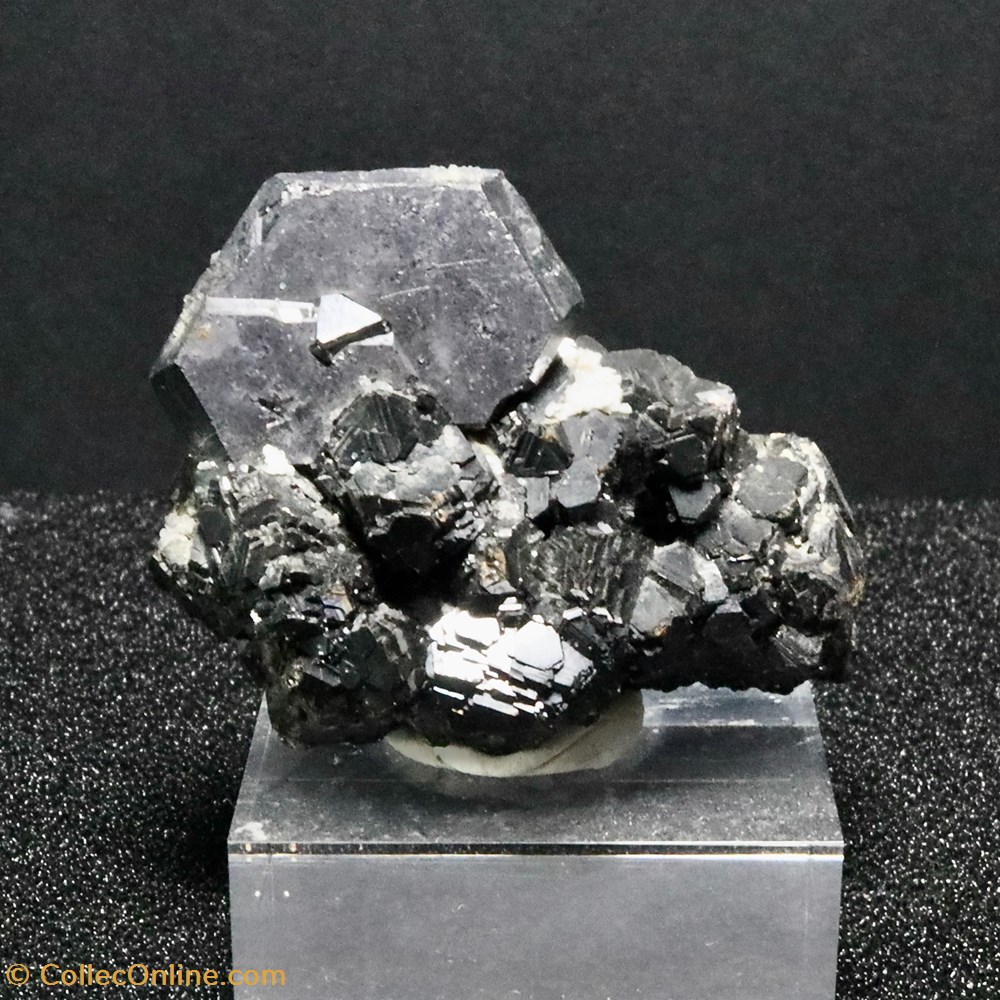 Galène lenticulaire - Sphalérite (Dalnegorsk, Russie) mineraux meteorites galene lenticulaire sphalerite dalnegorsk russie