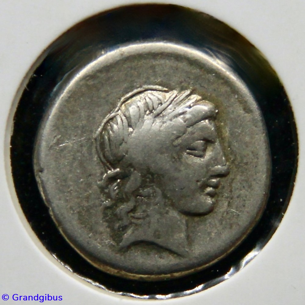 monnaies antiques romaines imperiales et republicaines marcia 82 av jc denier