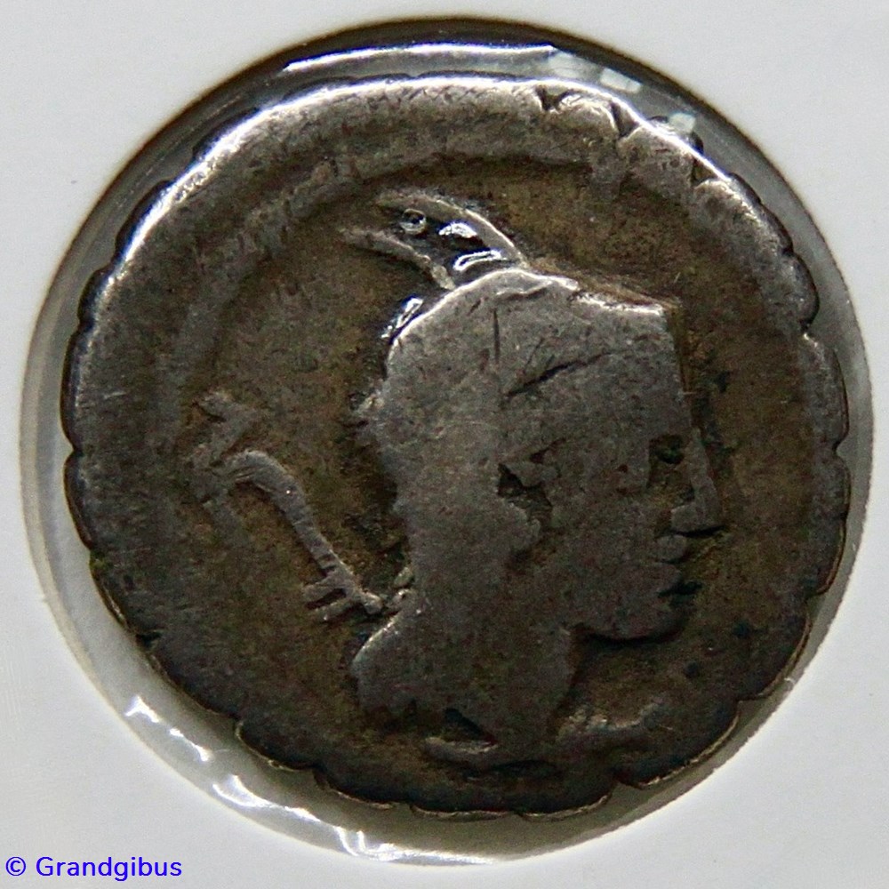 monnaies antiques romaines imperiales et republicaines papia 79 av jc denier serratus