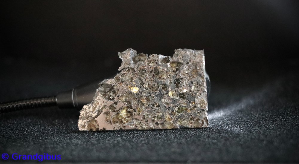 mineraux meteorites pallasite meteorite