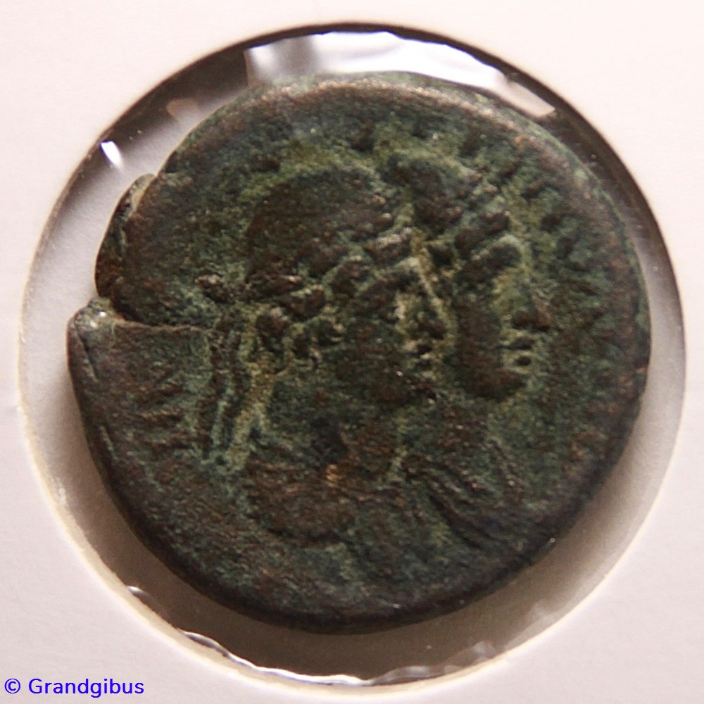 Diassarion (?) - Hadrien (117) monnaies antiques romaines provinciales diassarion hadrien 117