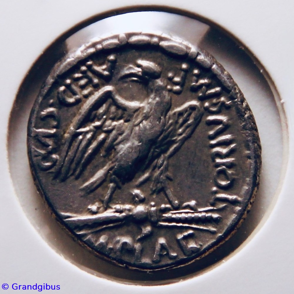 Plaetoria (67 av. JC) - Denier monnaies antiques romaines imperiales republicaines plaetoria 67 av jc denier