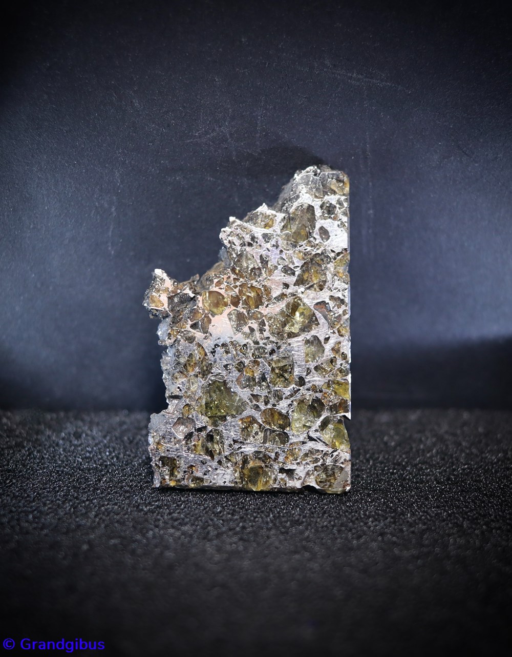 mineraux meteorites pallasite meteorite