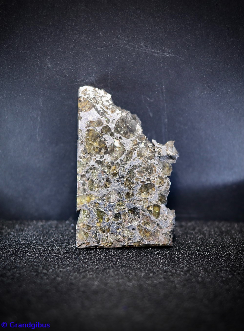 mineraux meteorites pallasite meteorite