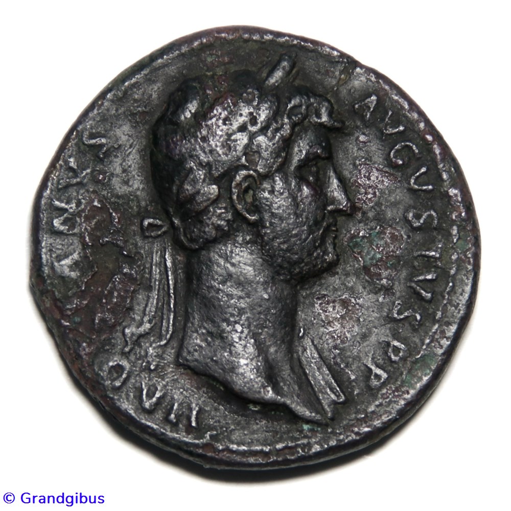 Sesterce - Hadrien (128) monnaies antiques romaines imperiales et republicaines sesterce hadrien 128