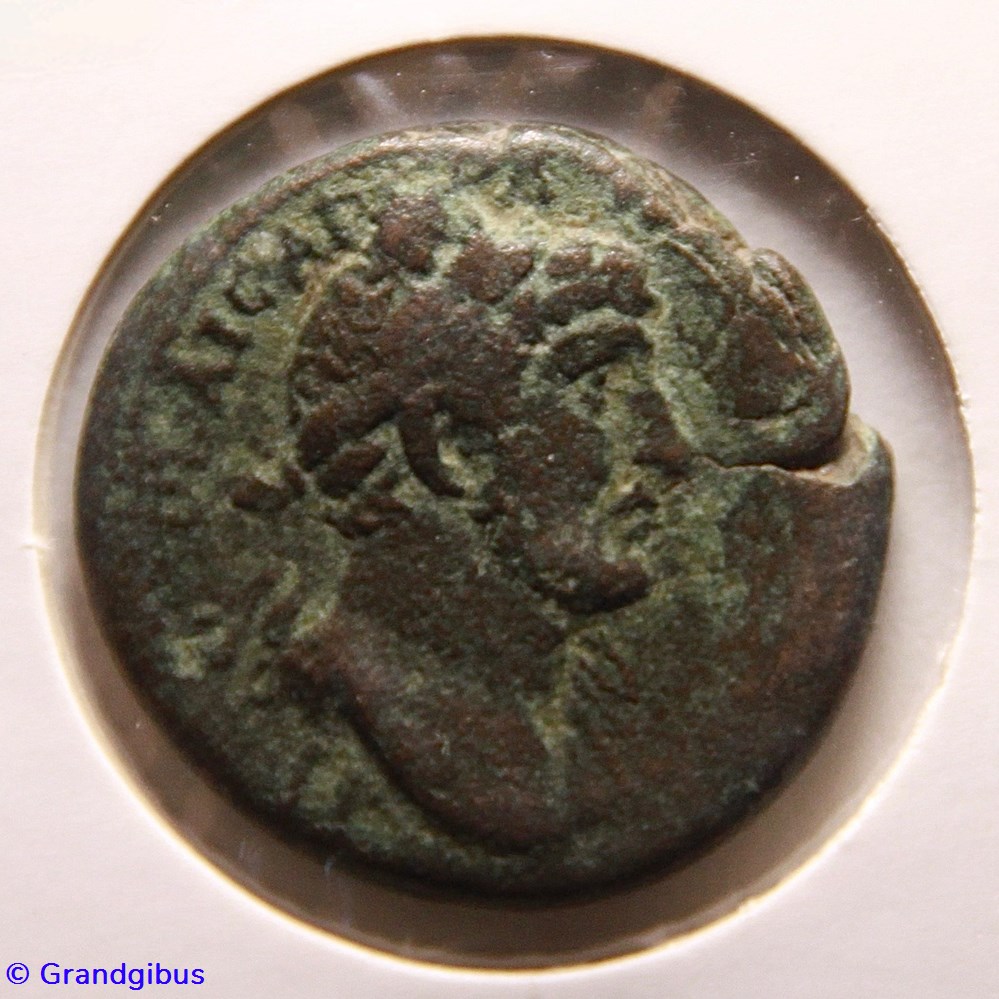 Diassarion (?) - Hadrien (117) monnaies antiques romaines provinciales diassarion hadrien 117
