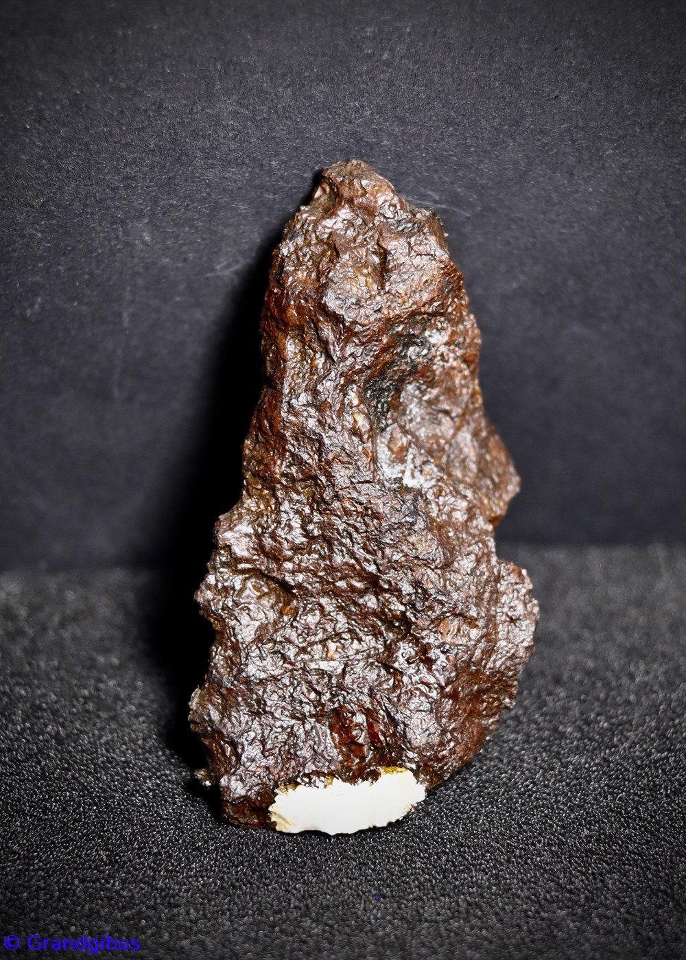 mineraux meteorites pallasite meteorite