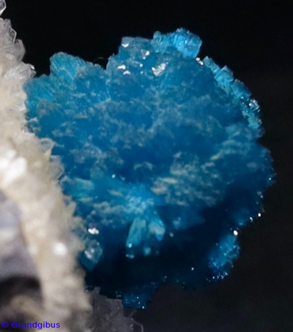 Cavansite (Poona, Inde) 5 mineraux meteorites cavansite poona inde