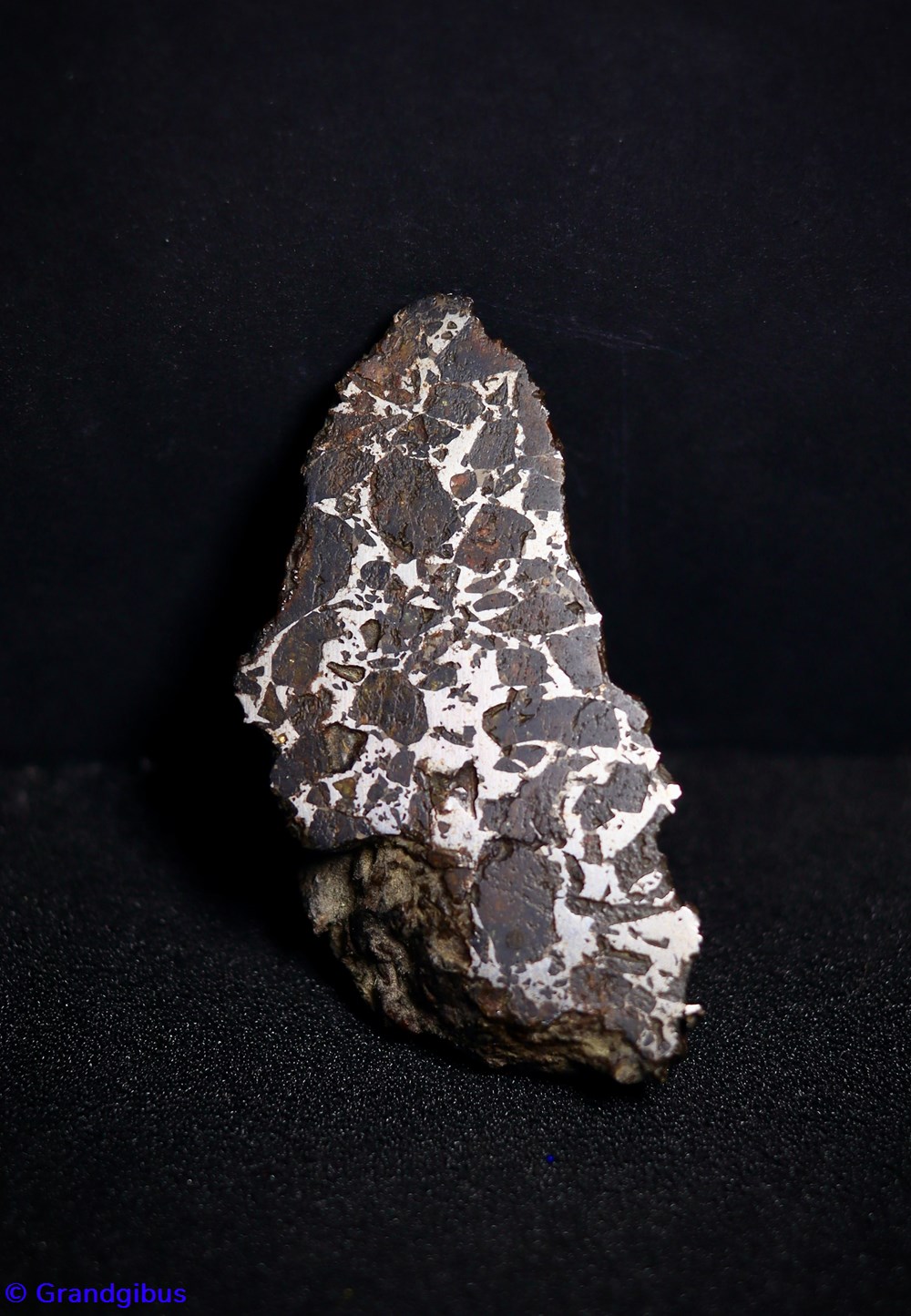 mineraux meteorites pallasite meteorite