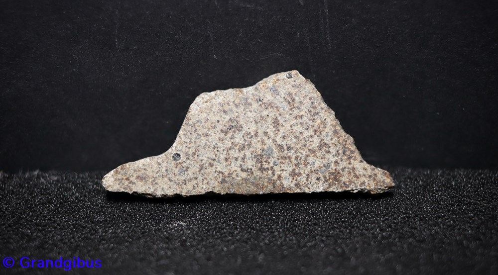 mineraux meteorites el hammami meteorite
