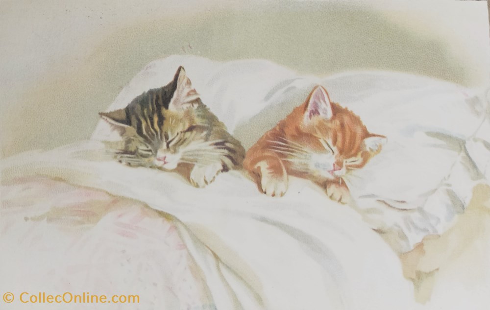 cartes postales coucher chatons endormis