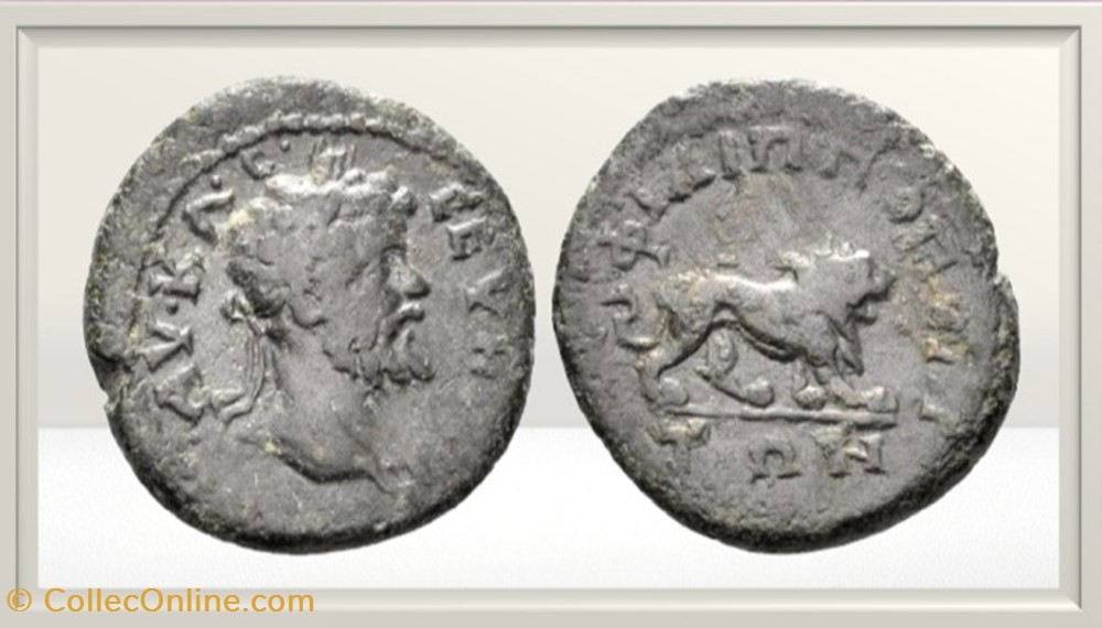 Septime Sévère - Thrace - Philippopolis - Lion monnaies antiques romaines provinciales septime severe thrace philippopolis lion