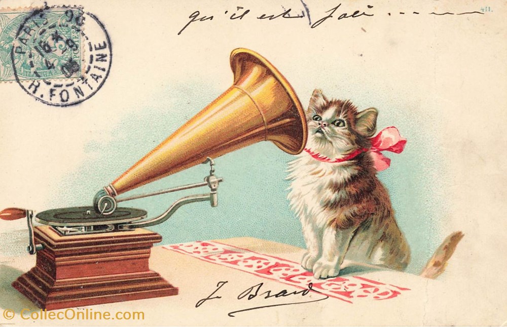 cartes postales chats chaton devant grammophone