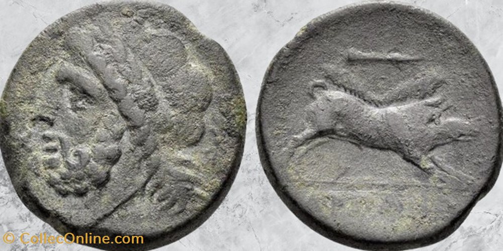 Apulie - Arpi - Zeus /Sanglier monnaies antiques grecques apulie arpi zeus sanglier