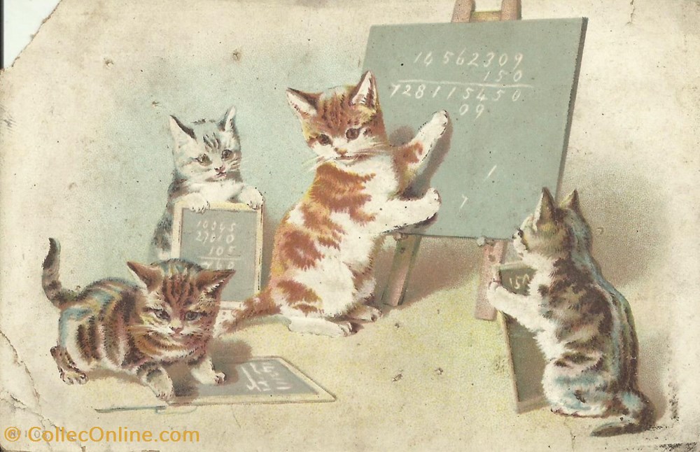 CHATS - ECOLE TABLEAU CALCUL - Postcards