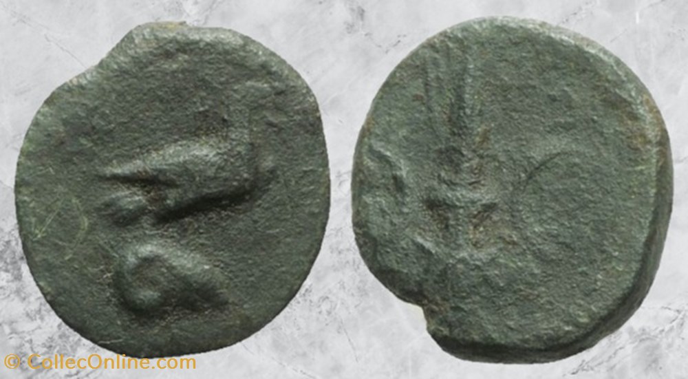 Bruttium - Crotone - Aigle sur tête de bélier monnaies antiques grecques bruttium crotone aigle sur tete de belier