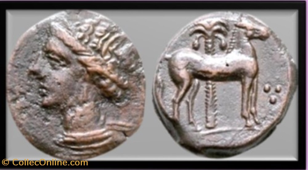 Zeugitane - Carthage - Cheval Palmier / 3 globules monnaies antiques grecques zeugitane carthage cheval palmier 3 globules