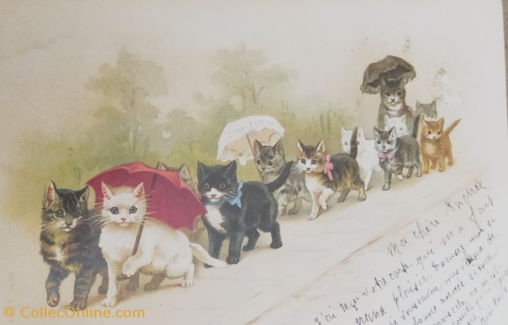 cartes postales chats cortege