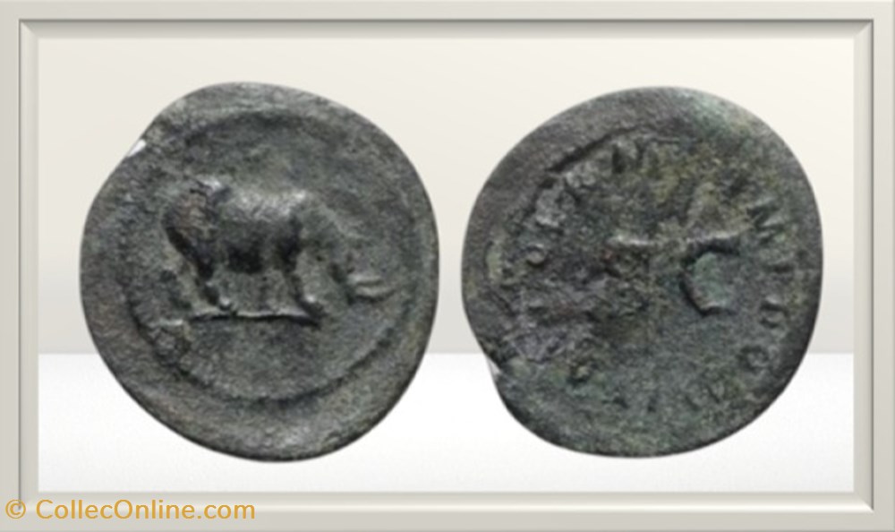 Domitien - Rhinocéros - quadrans monnaies antiques romaines provinciales domitien rhinoceros quadrans