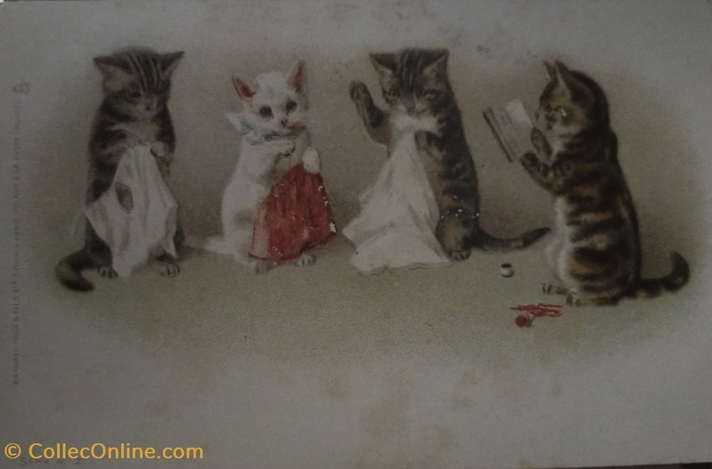 cartes postales chats couture