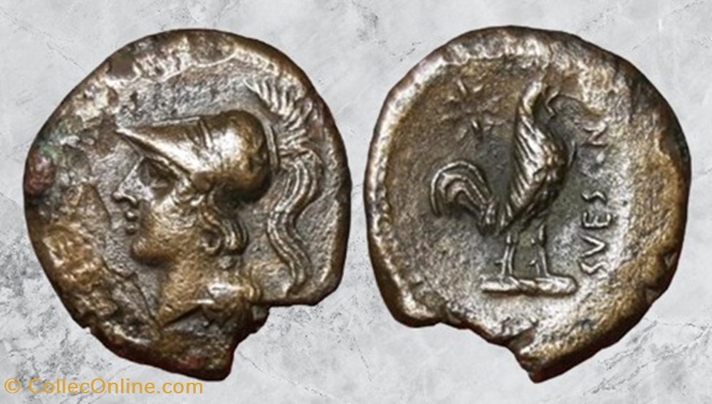 Campanie - Suessa Aurunca - Athéna / Coq monnaies antiques grecques campanie suessa aurunca athena coq