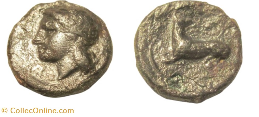 Sicile - Syracuse - Apollon - Chien assis monnaies antiques grecques sicile syracuse apollon chien assis