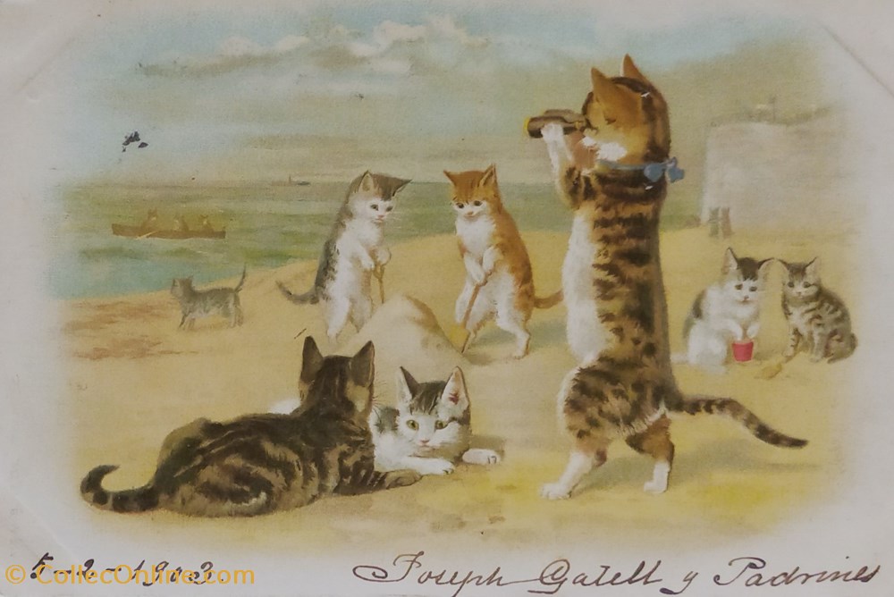 cartes postales sports et loisirs au bord de la mer a la plage n 139