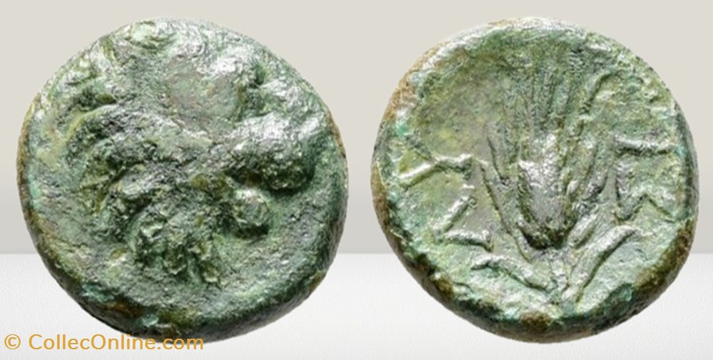 Thrace - Lysimachie - Lion / Epi monnaies antiques grecques thrace lysimachie lion epi