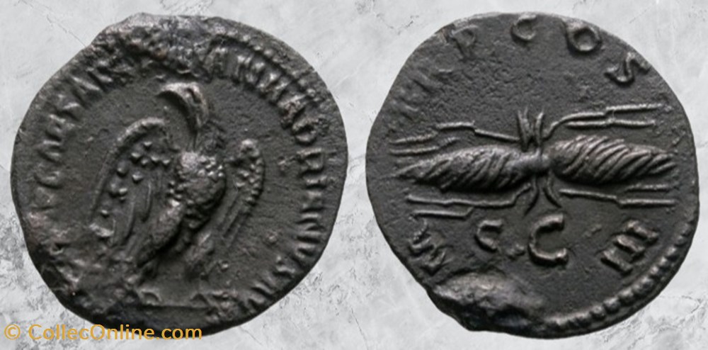 Hadrien - Aigle / foudre - quadrans monnaies antiques romaines imperiales et republicaines hadrien aigle foudre quadrans