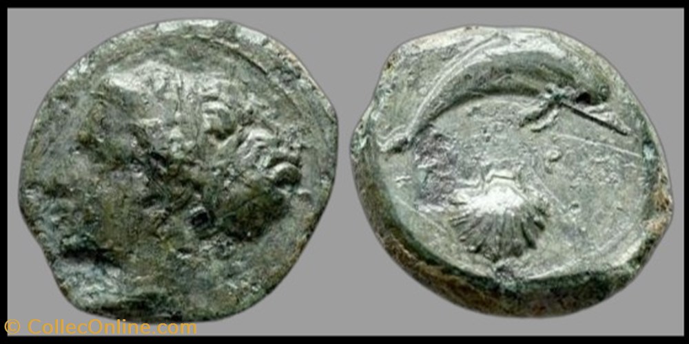 Sicile - Syracuse - Dauphin / coquille monnaies antiques grecques sicile syracuse dauphin coquille