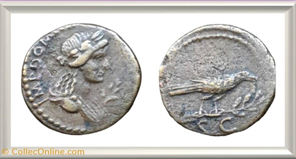 Domitien - Corbeau - Semis monnaies antiques romaines imperiales et republicaines domitien corbeau semis